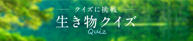 生き物クイズ