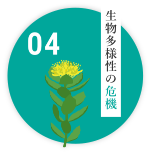 生物多様性の危機