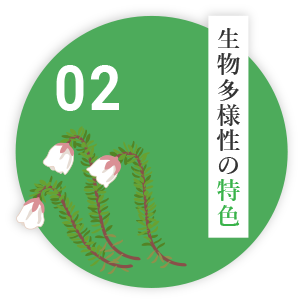 生物多様性の特色