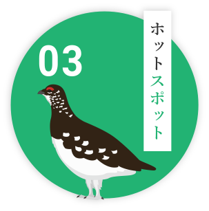 ホットスポット