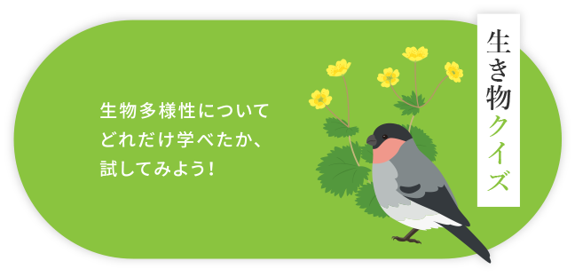生き物クイズ