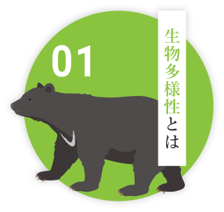 生物多様性とは