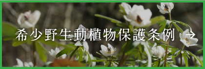 希少野生動植物保護条例