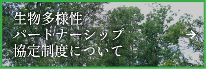 パートナーシップ協定制度について
