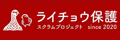 ライチョウ保護