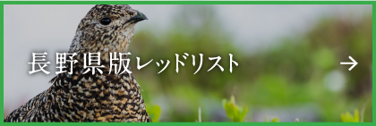 長野県版レッドリスト
