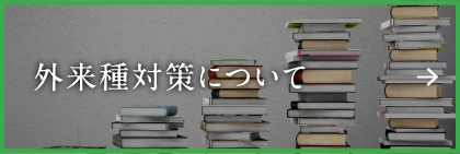 外来種対策について