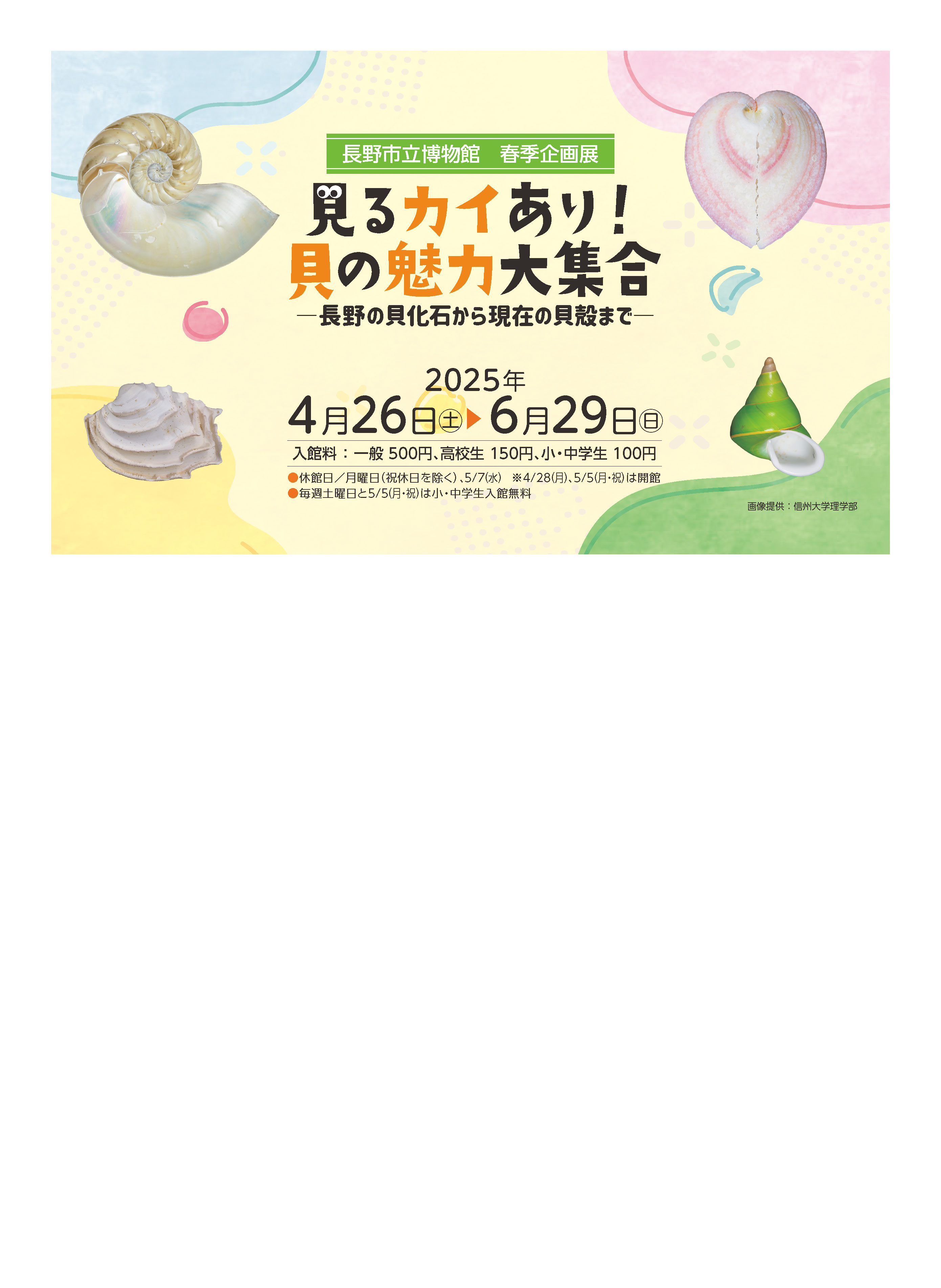 見るカイあり！貝の魅力大集合　—長野の貝化石から現在の貝殻まで—
